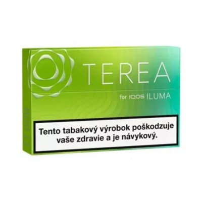 IQOS TEREA Sigara Willow Kartus